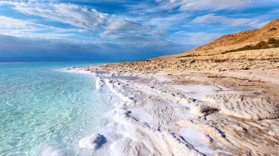 From Amman: Dead Sea 5-Star Resort Day Trip with Lunch - Pickup from Amman or the airport