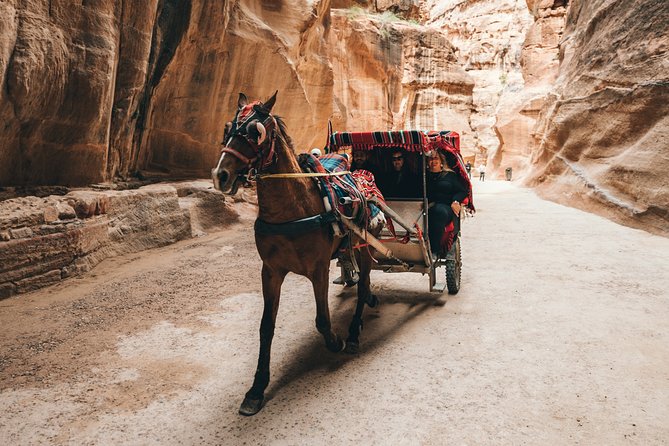 From Amman | Dead sea and Petra in one day | Admission Fees Included - Why the private format changes the day
