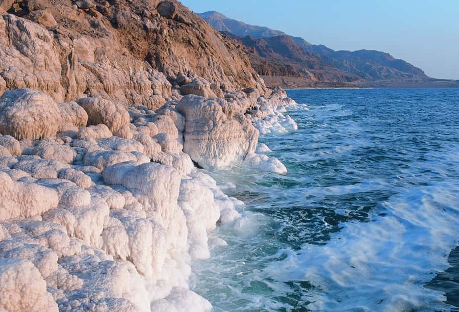From Amman: Dead Sea and Wadi Mujib Trail Full-Day Tour - The private ride is part of the value