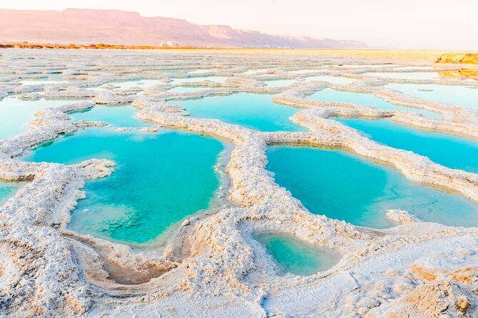 From Amman :Dead Sea ,baptism site,mount Nebo and Madaba Full day - Driver quality shapes the experience