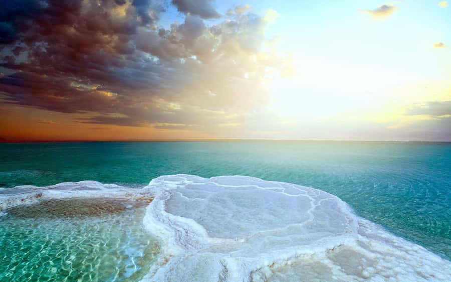 From Amman: Dead Sea, Mt Nebo, Madaba, Baptism full day trip - Who should book this experience?