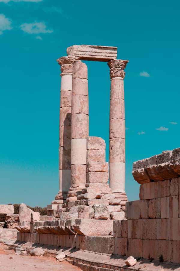 From Amman: Full day Jerash and Amman city Tour - What the private car adds to the day