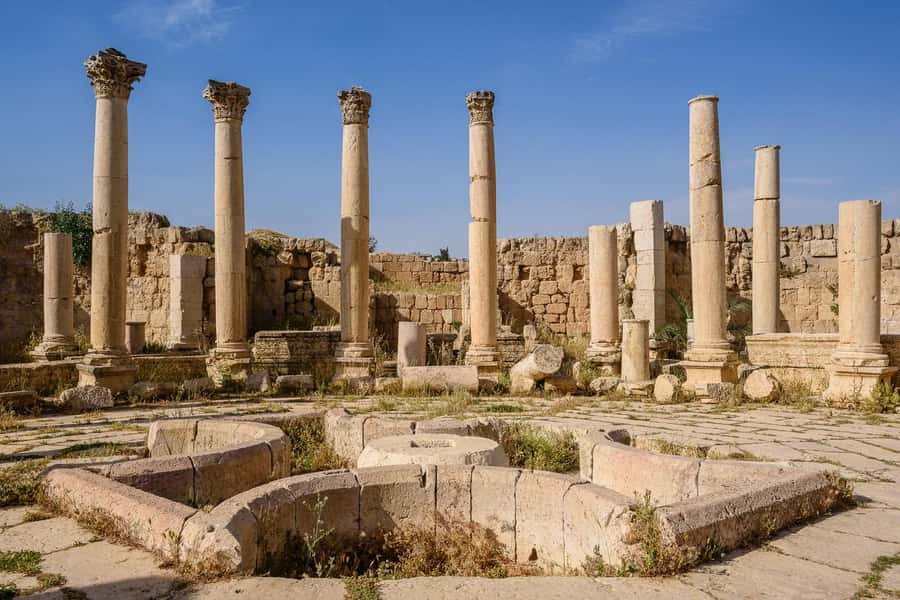 From Amman : Full day tour - Jerash and the Dead sea. - Walking through Jerash’s Roman streets