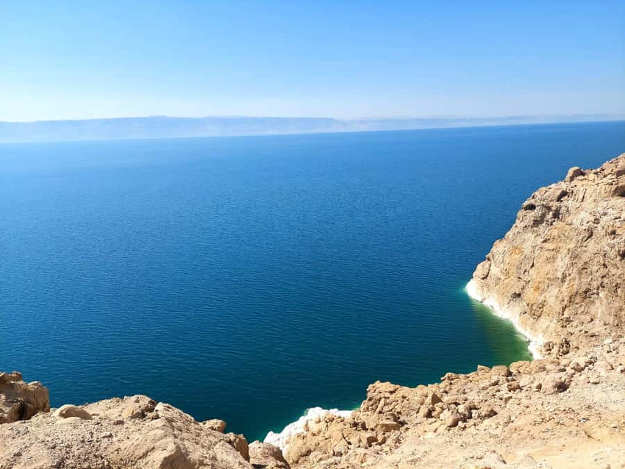 From Amman: Half-Day Tour to Dead Sea - Key points to know before you book