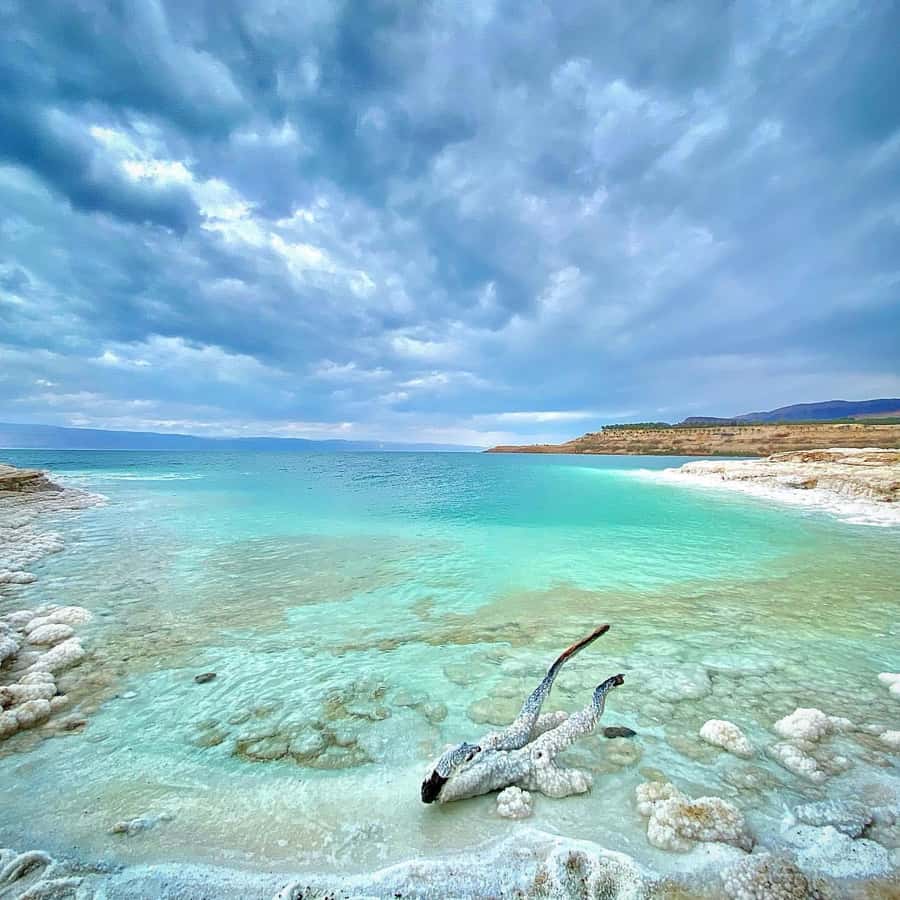 From Amman: Half-Day Tour to Dead Sea - Descending 400 meters to the Dead Sea