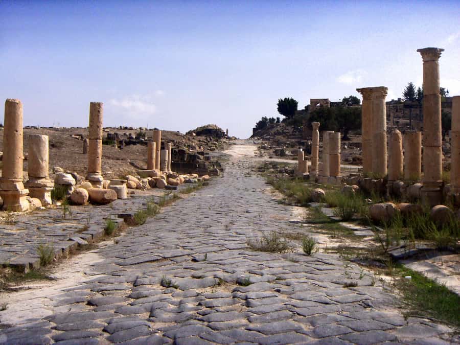 From Amman: Jerash, Ajloun Castle or Umm Qais Private Tour - Key points to know before booking
