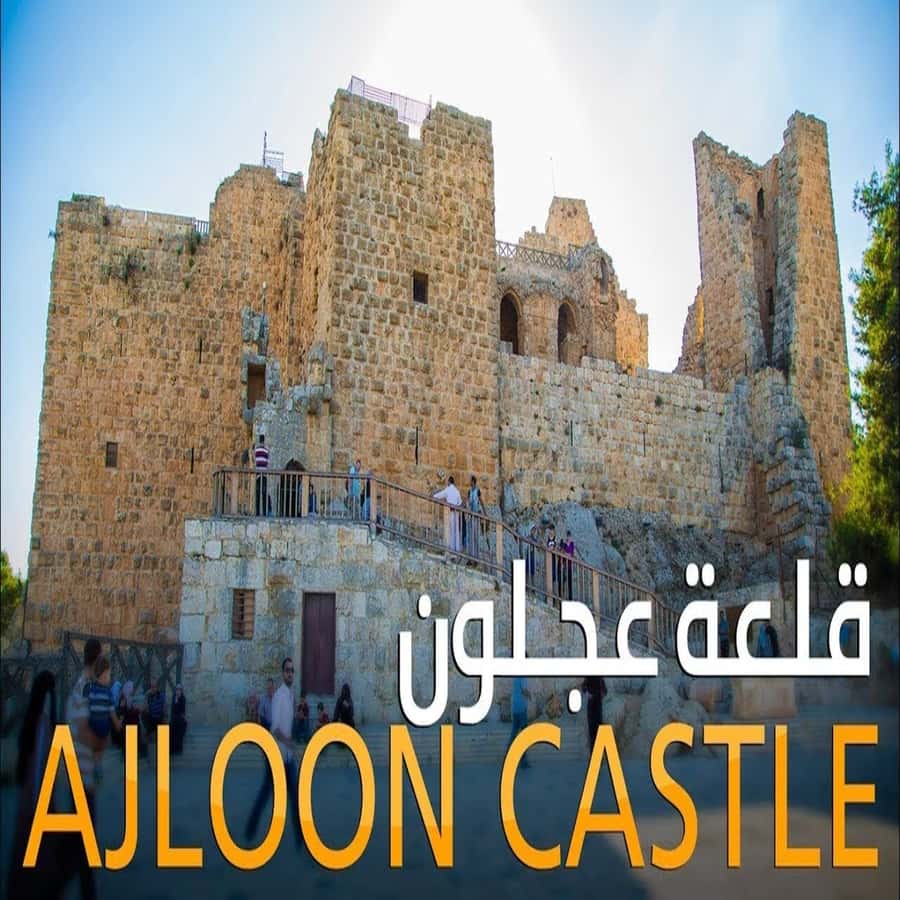 From Amman: Jerash &Ajloun &Um Qais Private Tour - Why Jerash and Ajloun make a strong day from Amman
