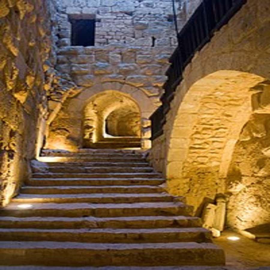 From Amman: Jerash &Ajloun &Um Qais Private Tour - The Um Qais question you should settle first