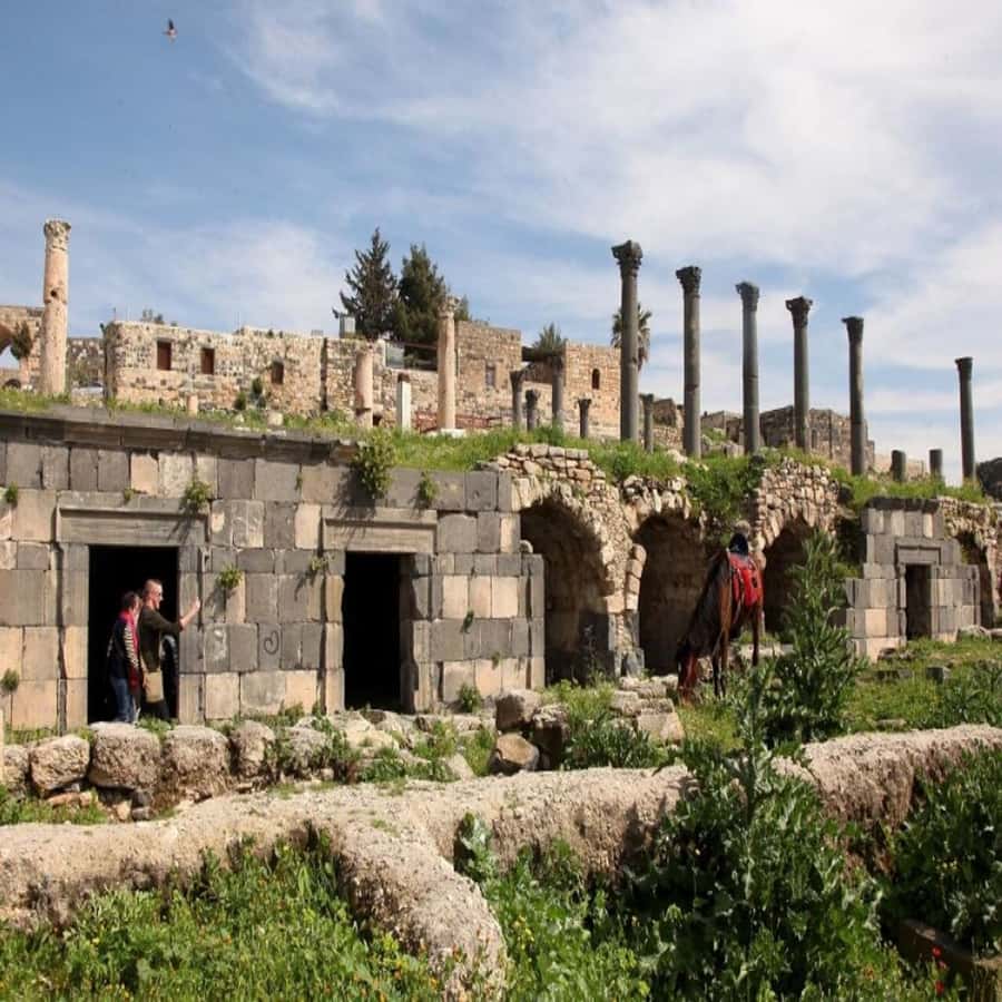 From Amman: Jerash &Ajloun &Um Qais Private Tour - What private transport adds to the day