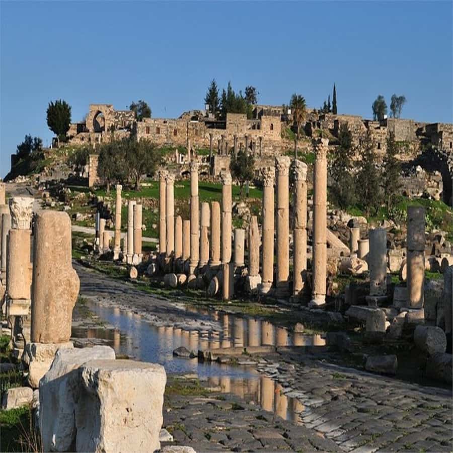 From Amman: Jerash &Ajloun &Um Qais Private Tour - Should you book this Jerash and Ajloun tour?