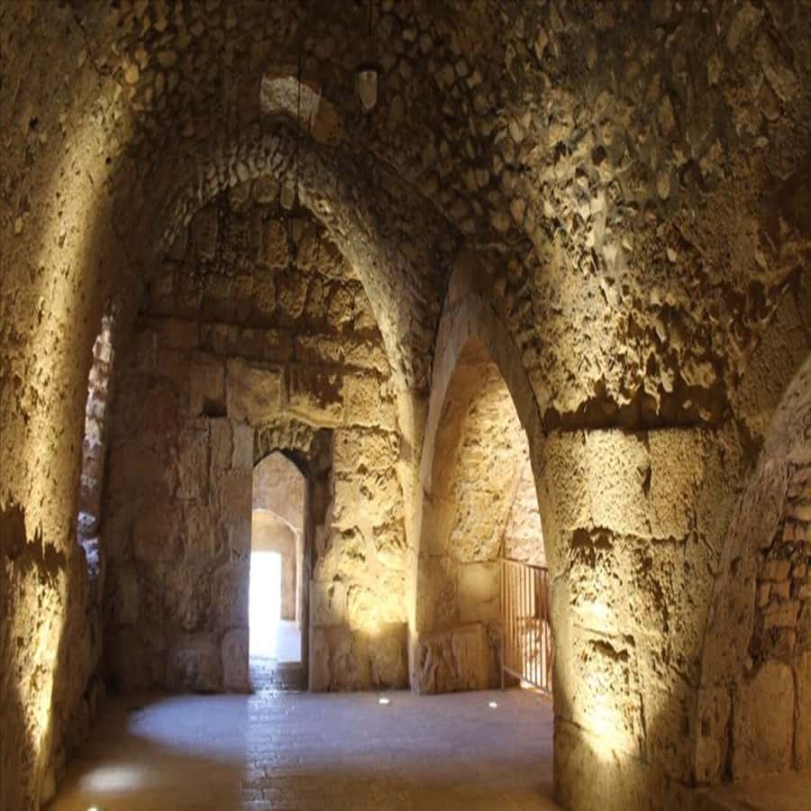 From Amman: Jerash &Ajloun &Um Qais Private Tour - Ajloun Castle and its high defensive position