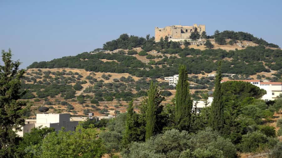 From Amman: Jerash and Ajloun Day Tour - The drive from Amman is part of the experience