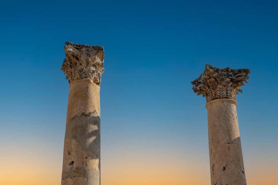 From Amman : Jerash and Dead Sea full-Day Tour - Practical details that will improve your day