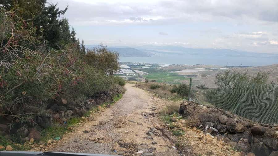 From Amman: Jerash, Umm Qais, and Jesus' Cave Private Trip - Is $87 per person good value?
