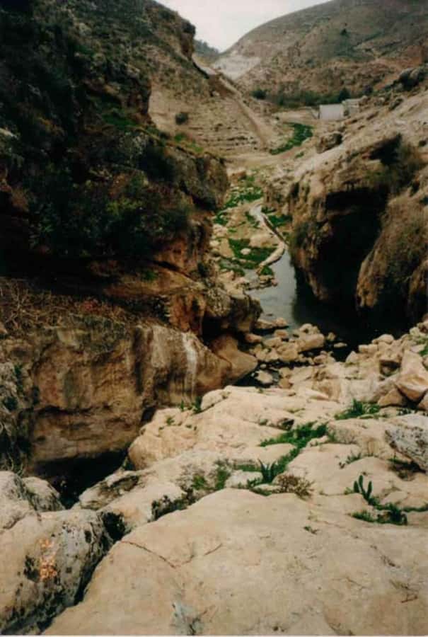 From Amman: Jerash, Umm Qais, and Jesus' Cave Private Trip - Who should book this northern Jordan day trip?