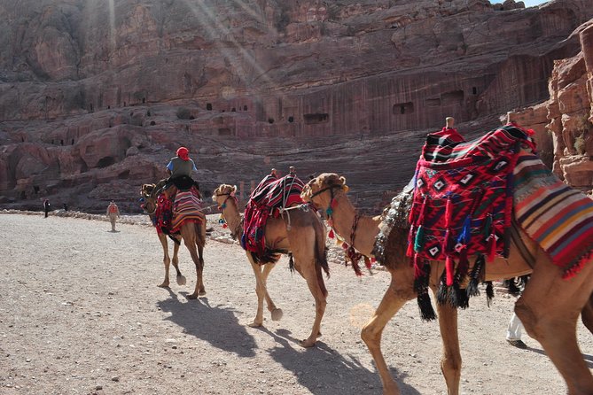From Amman: one day tour to Petra - The approach to Wadi Musa and Petra