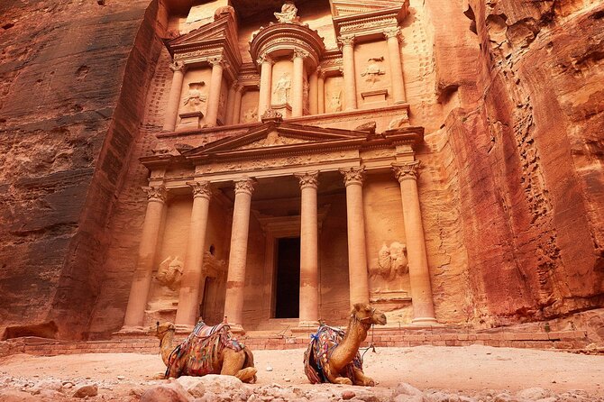From Amman: Petra and Wadi rum Full day Tour - A realistic cost and value check