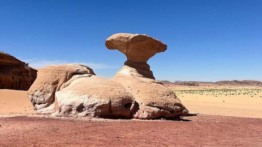 From Amman: Petra & Wadi Rum Private or group Day Tour - Two hours among Wadi Rum’s red cliffs
