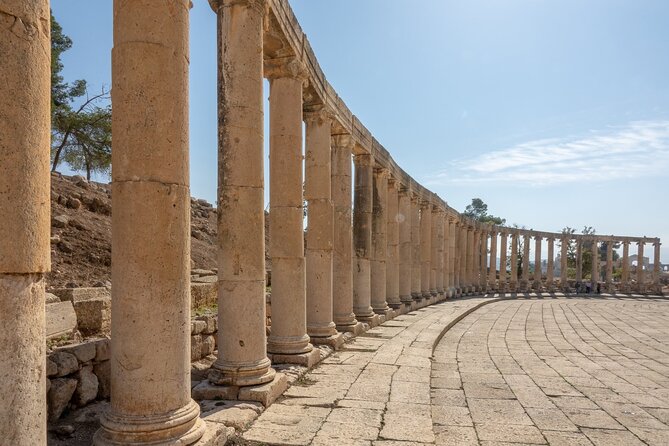 From Amman :Private day tour to Jerash and Ajloun - From Roman columns to Ajloun Castle