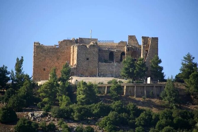 From Amman :Private day tour to Jerash and Ajloun - Booking details worth checking first