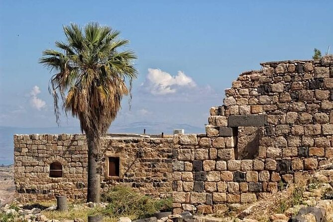 From Amman: Private Full Day Tour Jerash Ajloun & Um Qais - Ajloun Castle and the forested hills