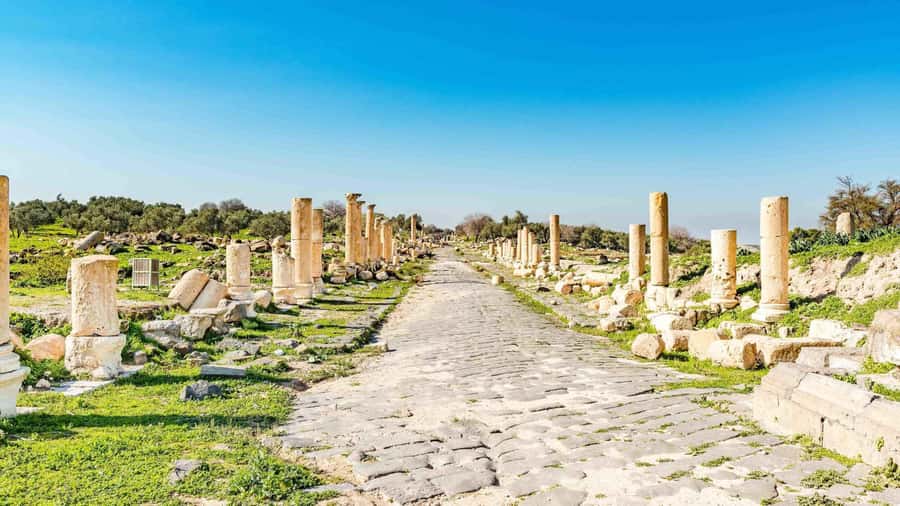 From Amman: Private Jerash, Ajloun Castle, and Umm Qais Tour - Should you book this northern Jordan day trip?