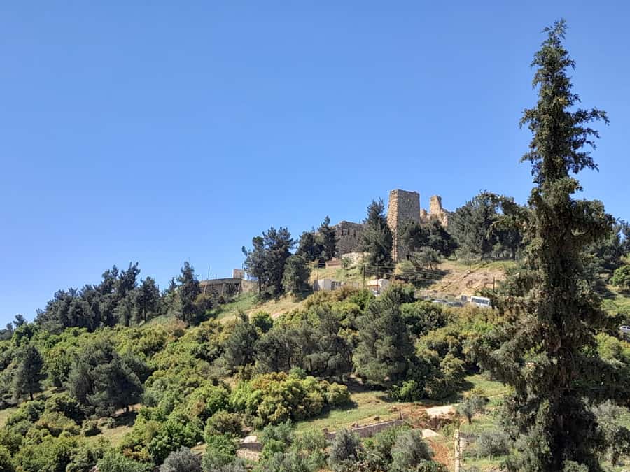 From Amman: Private Jerash, Ajloun Castle, and Umm Qais Tour - What the driver adds to the day
