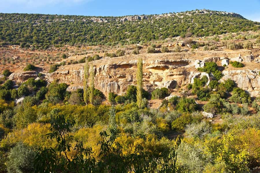 From Amman: Private Jerash, Ajloun Castle, and Umm Qais Tour - Comfort on a long northern Jordan route