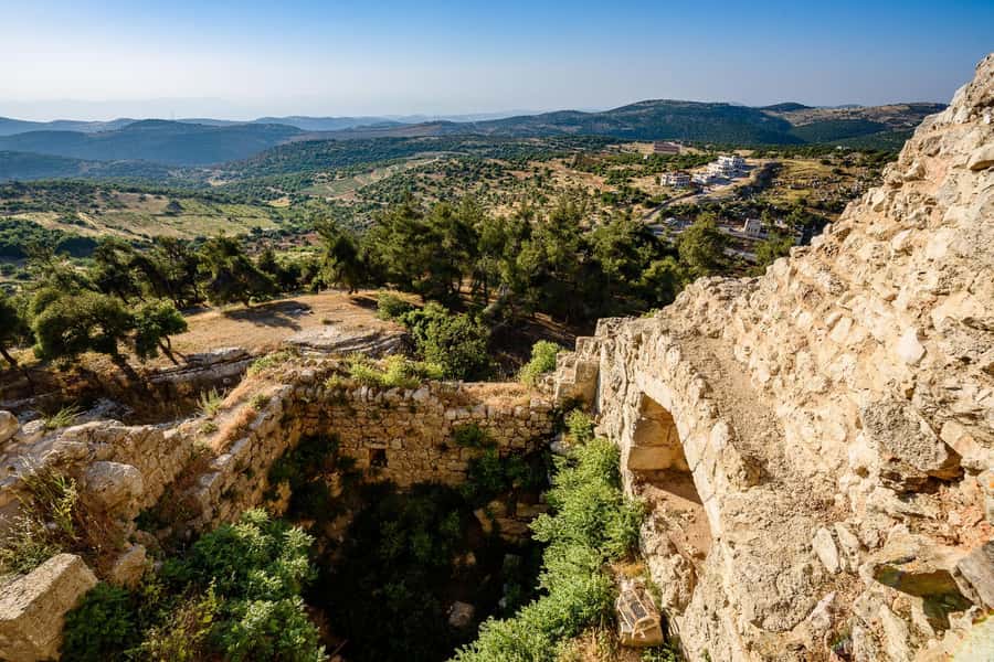 From Amman: Private Jerash, Ajloun Castle, and Umm Qais Tour - Booking details worth knowing