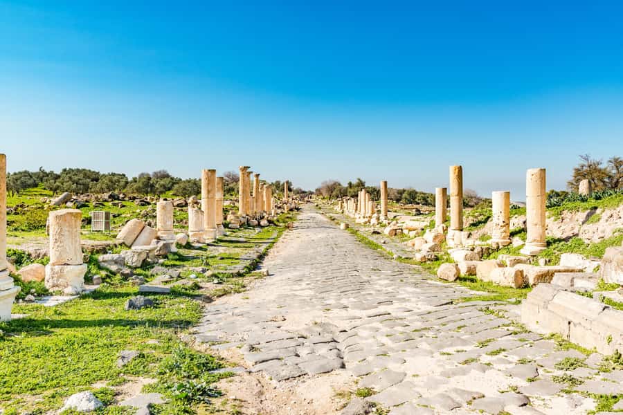 From Amman: Private Jerash, Ajloun Castle, and Umm Qais Tour - Adding Ajloun Castle for medieval Jordan