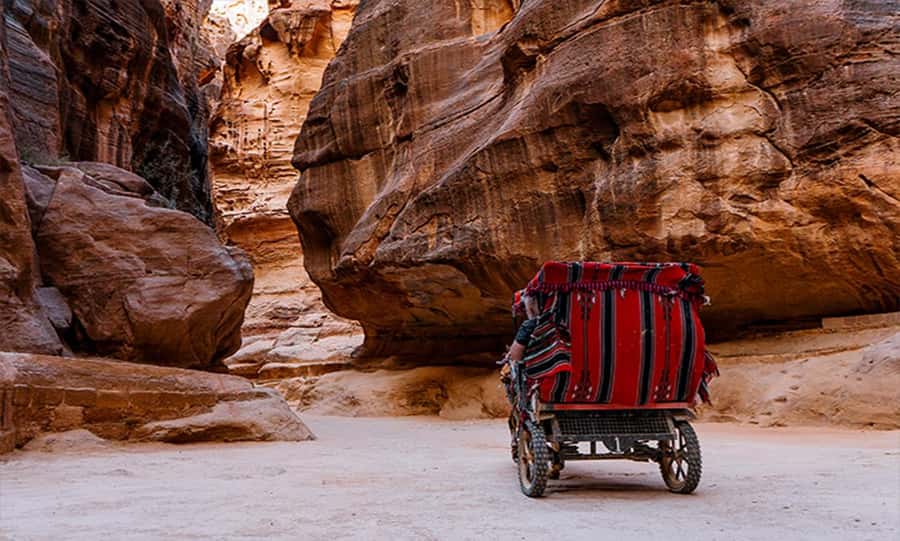 From Amman: Private Petra Day Trip with Guide - Key points to know before booking