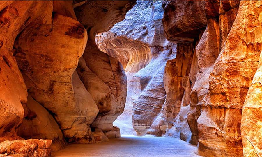From Amman: Private Petra Day Trip with Guide - Who should book this Petra day trip