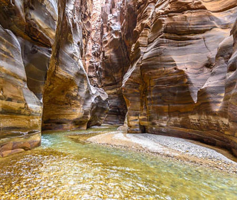From Amman:To Al-Mujib Canyon & Dead Sea Salt Beach Day Trip - What the $97 price really buys