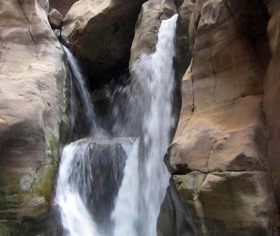 From Amman:To Al-Mujib Canyon & Dead Sea Salt Beach Day Trip - FAQ