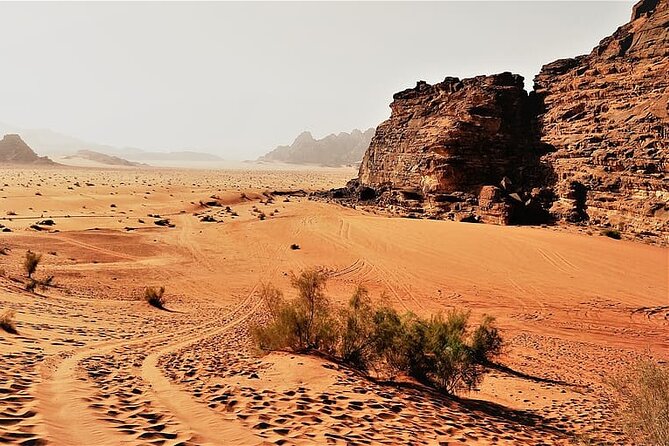 From Amman to Petra and Wadi rum ( Private two days) - The driver can make or break the road days