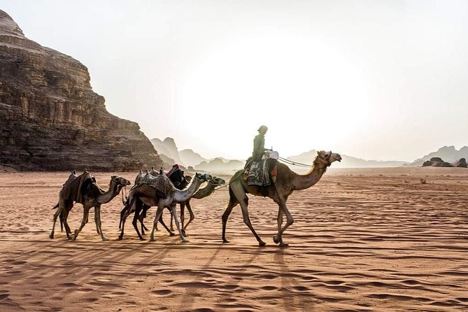 From Amman to Petra and Wadi rum ( Private two days) - Who will get the most from this two-day plan
