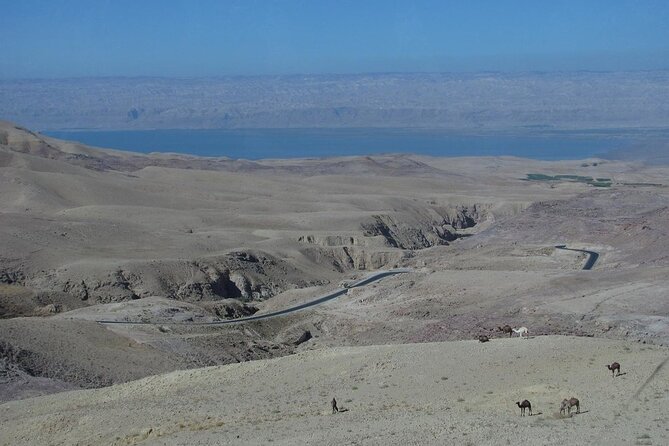 From Amman to West ( Madaba, Mt Nebo, baptism site and dead sea) - Who will get the most from this tour