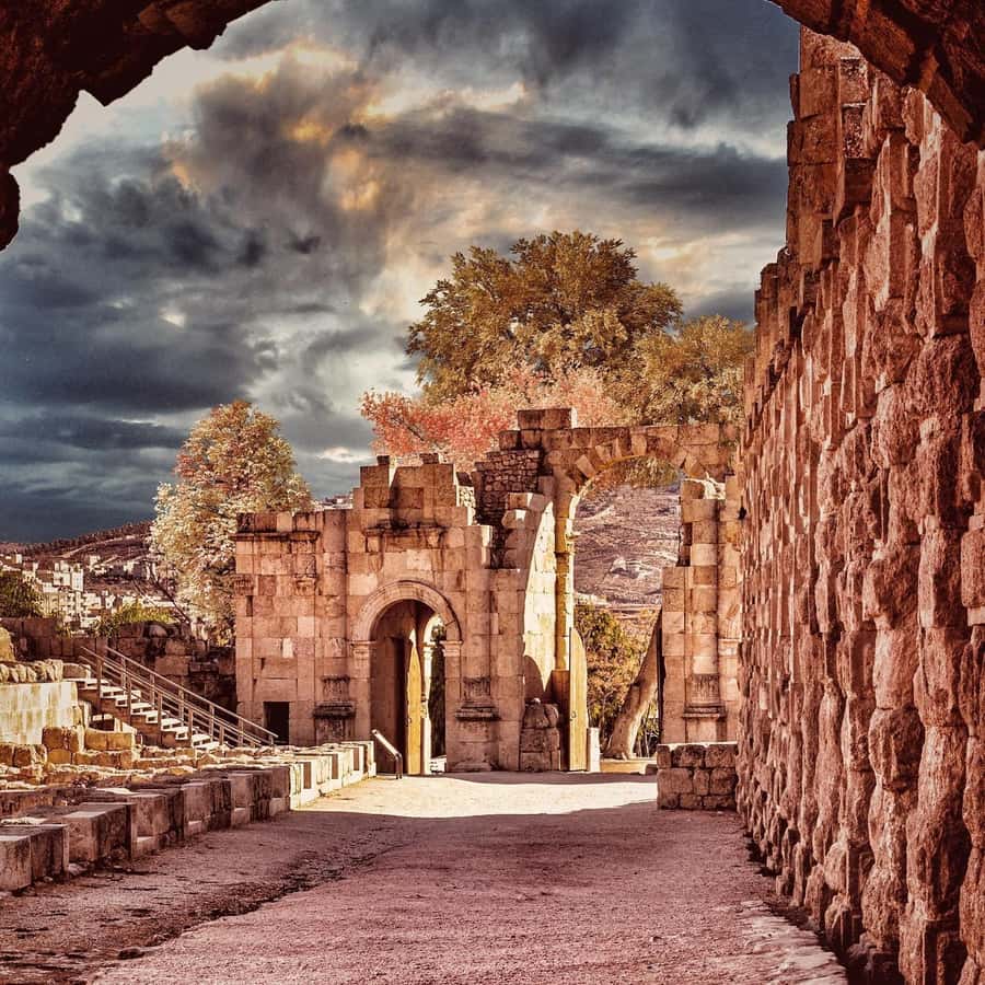 From Amman Trip To Jerash - Who will get the most from this outing