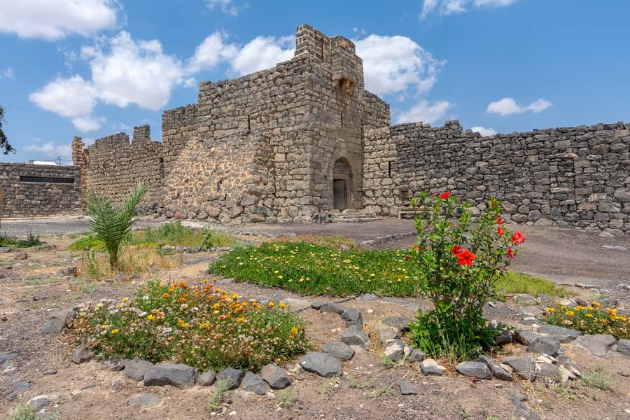 From Amman: Umayyad Desert Castles Tour with Transfer - Practical advice for making the day better