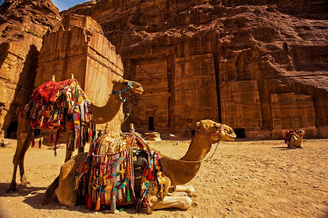 From Aqaba a Day Excursion to Petra - Key points to know before you book