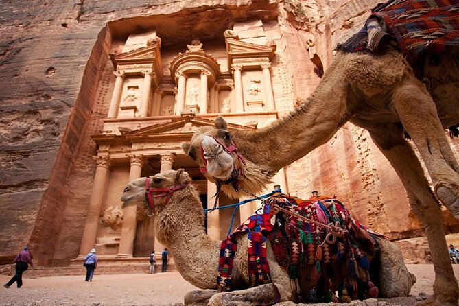 From Aqaba a Day Excursion to Petra - The early Aqaba pickup and private ride