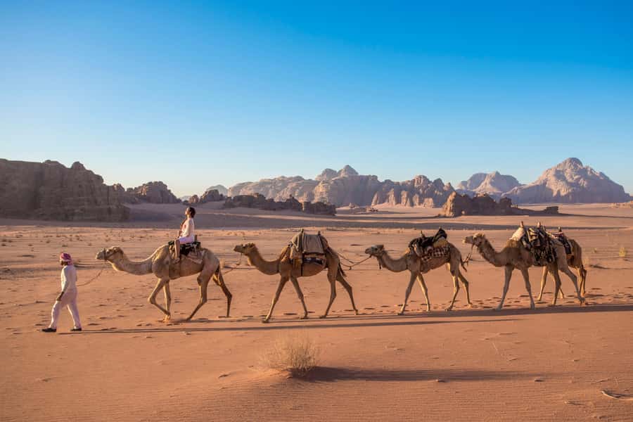 From Aqaba: Jeep Tour to Wadi Rum Desert - Canyons, arches, and ancient drawings