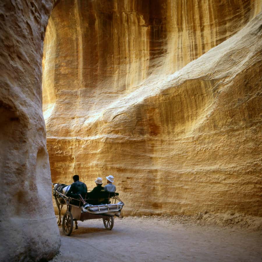 From Aqaba: Petra 1 Day Tour - Who will enjoy this Petra day trip
