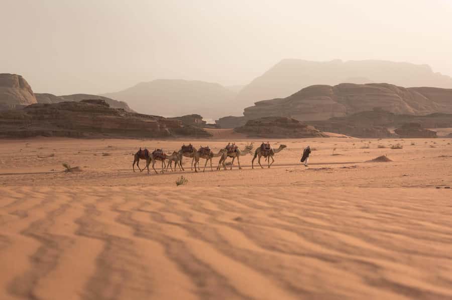 From Eilat, Jerusalem, Tel Aviv: Petra & Wadi Rum 3-Day Tour - Key points to know before you book