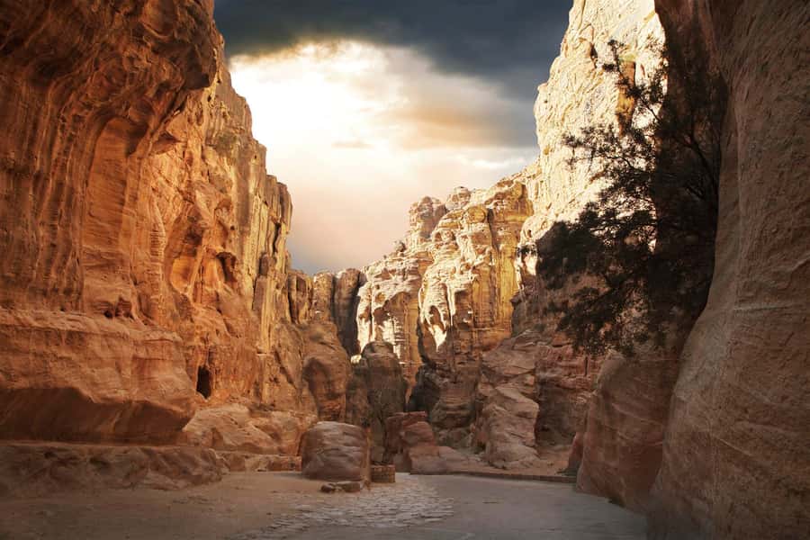 From Eilat: Petra Day Private Tour - The first view of Petra through the Siq