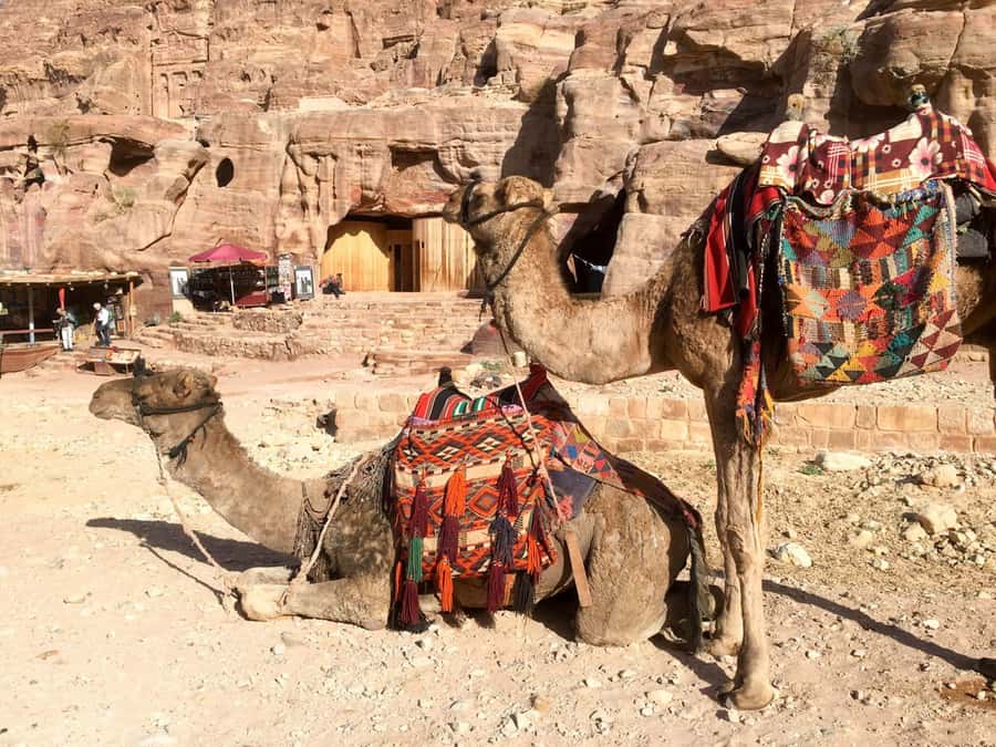 From Eilat: Petra Full-Day Guided Tour with Transfers - Bus comfort and the pace of the day