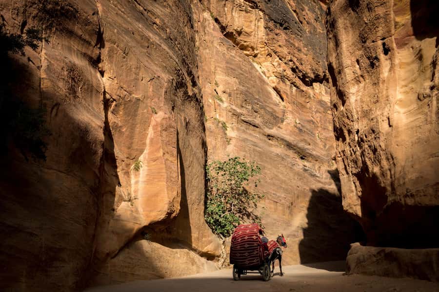 From Jerusalem: Petra 2-Day Tour - Choosing your Petra route with limited time