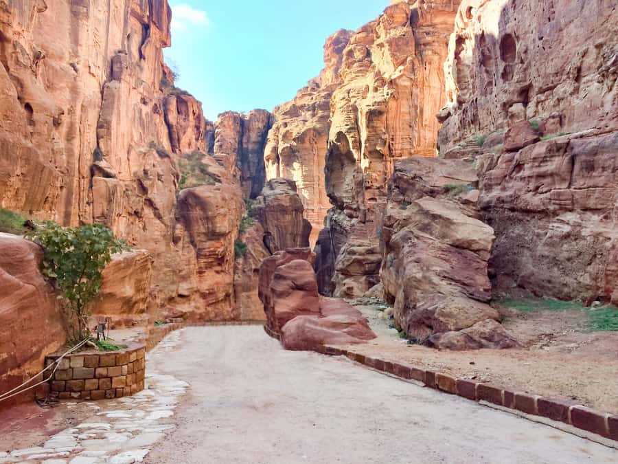 From Tel Aviv: Full-Day Trip to Petra with Roundtrip Flights - From Ben Gurion to the Arava border