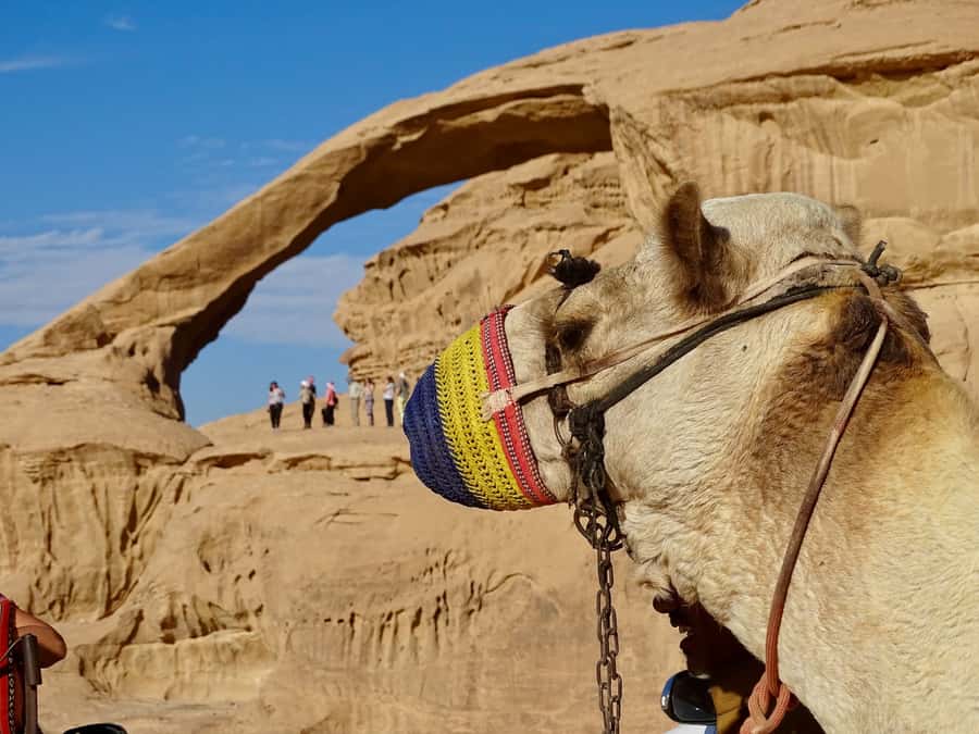From Tel Aviv: Petra & Wadi Rum Glamping 2-Day Tour - Bedouin glamping, comfort with a few questions