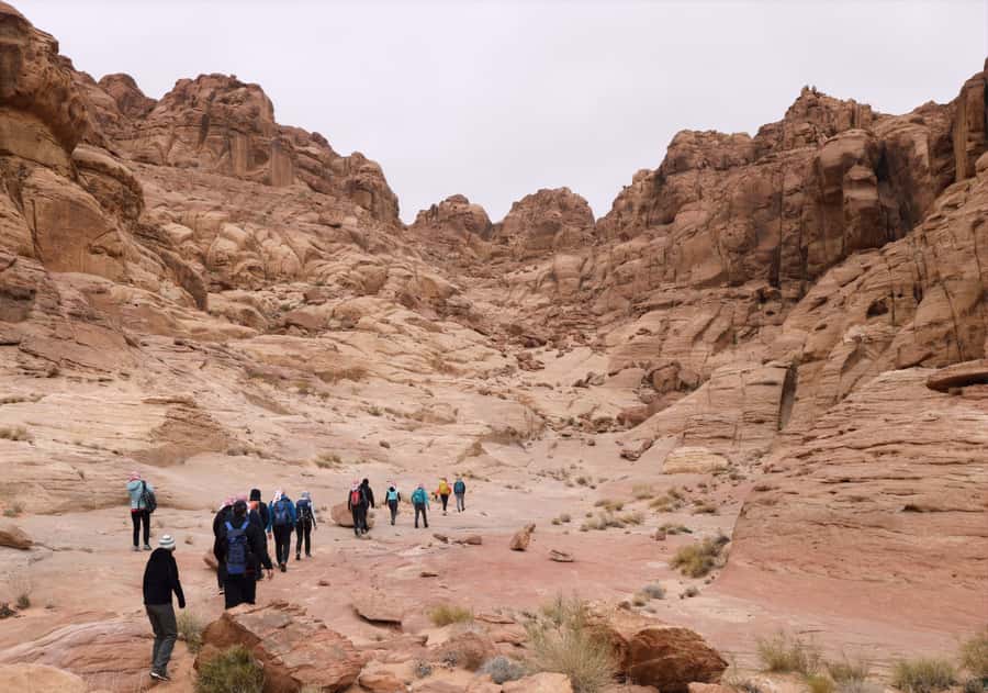 From Wadi Rum: 2-Day Hiking Adventure and Jeep Tour - The Al Hash Mountain Hike at 1,700 Meters
